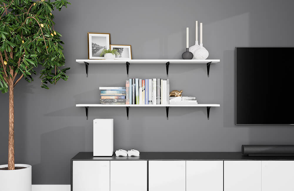Dakota Shelf Scene
