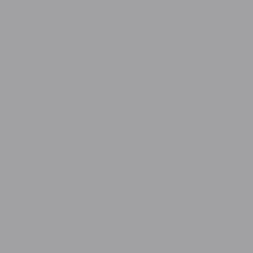 Matte Gray Swatch