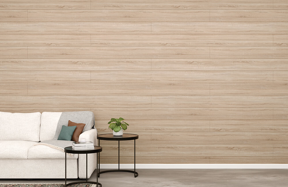 Dakota Shiplap Scene