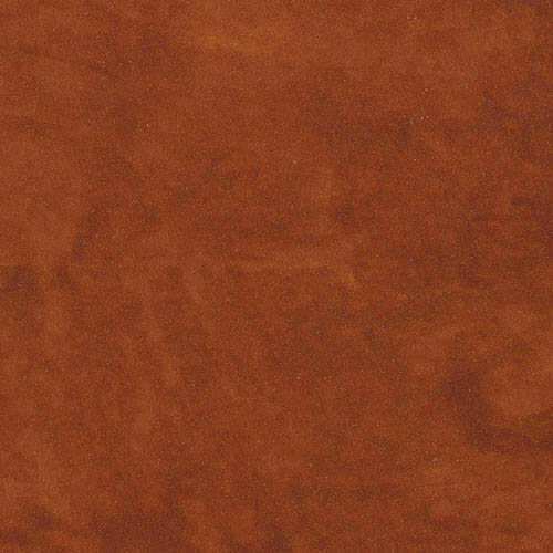 Cognac Swatch