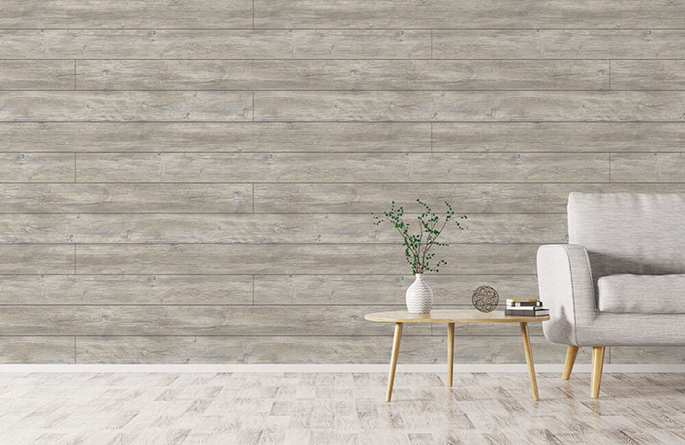 Dakota Shiplap Scene