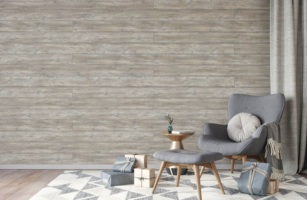 Dakota Shiplap Scene