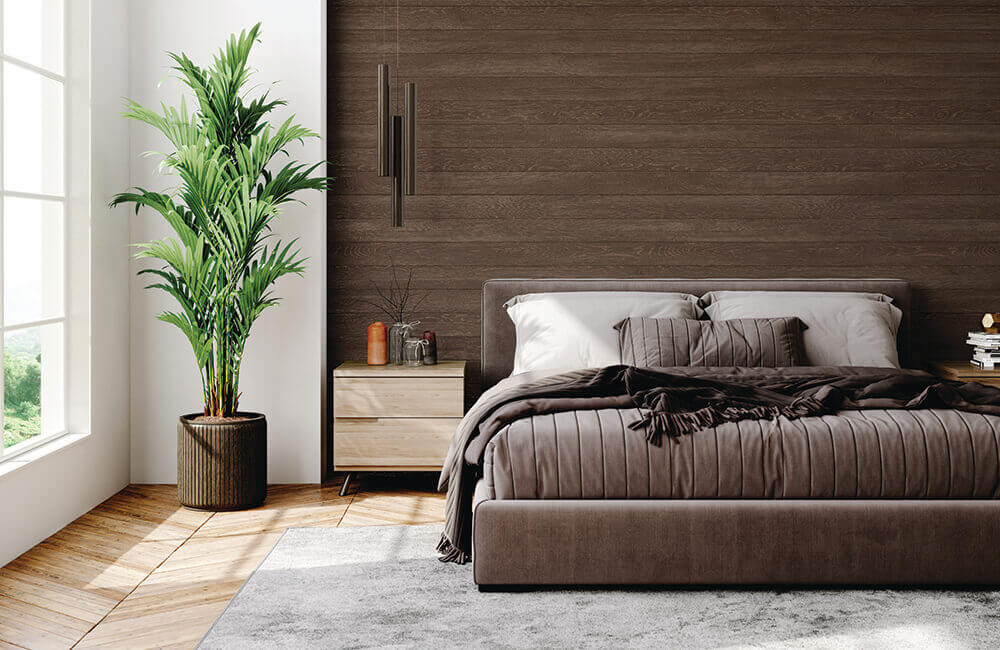 Dakota Shiplap Scene