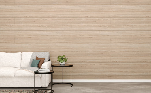 Coastal Oak Shiplap Living Room