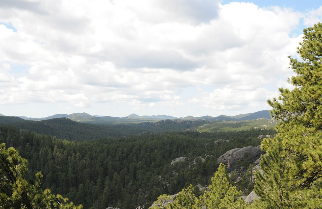 Dakota Nature