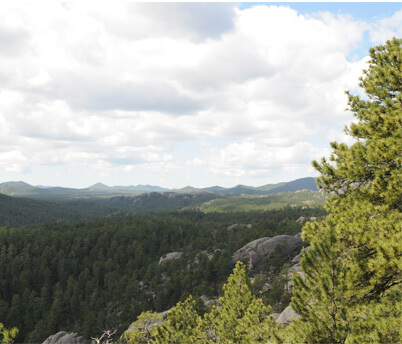 Dakota Nature