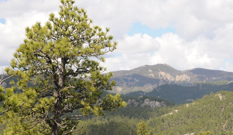 Dakota mountains