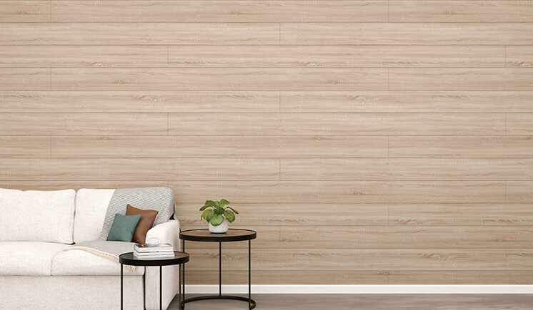 Dakota Shiplap Matte Matte Gray Scene
